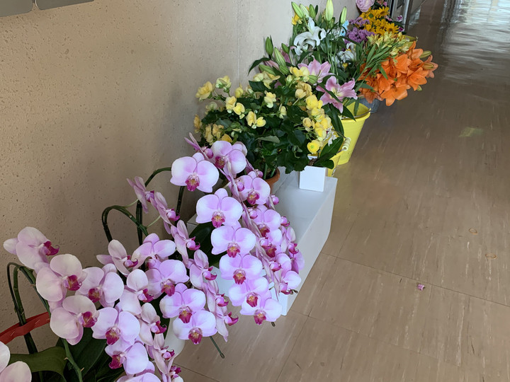 F6f71cf53d62482bbb56323698ee02ae