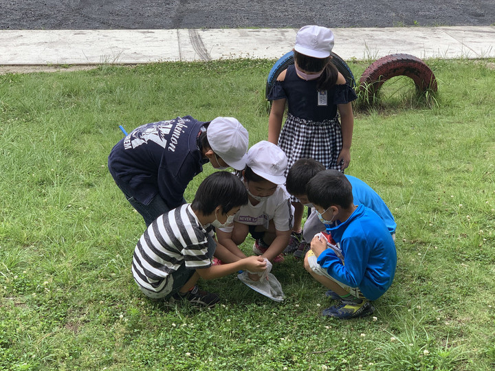 541a0733f46b44f6bab2f525d0cab47c