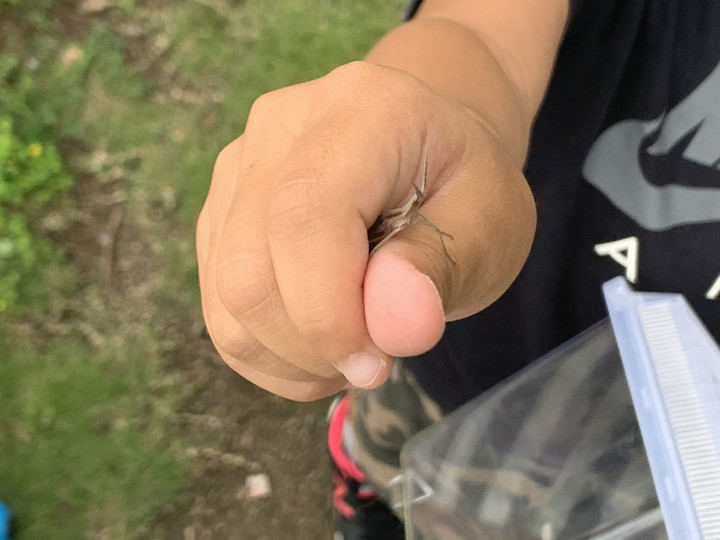 7a7572158dbb413b8b6586c72e235507