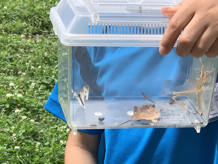 D06f05d223f3412e9a06ff6b29bda0ee