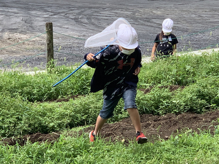 E20625306f4a40c2b344fa8de827429a