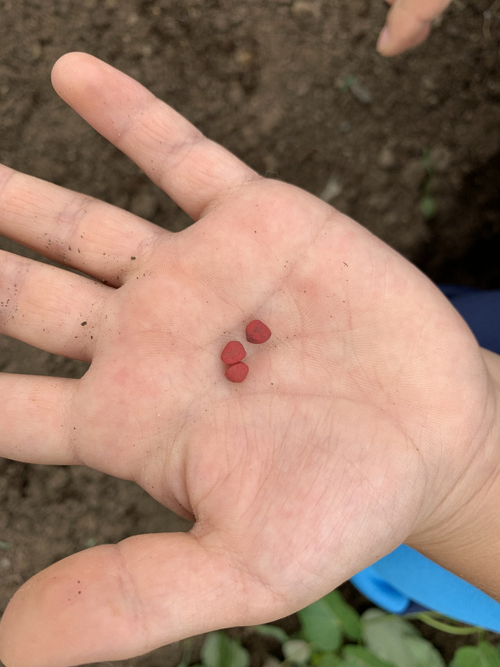 0d18c24a66a34606b27b8987be716e9b