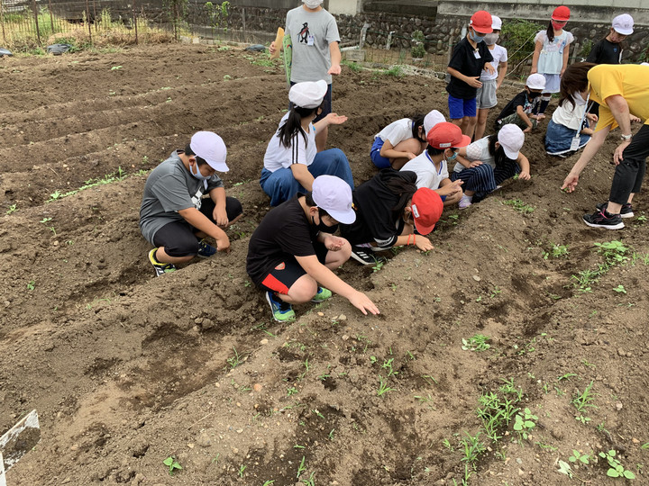 2a8a74f4098c4d4399b7909ad017cd0d