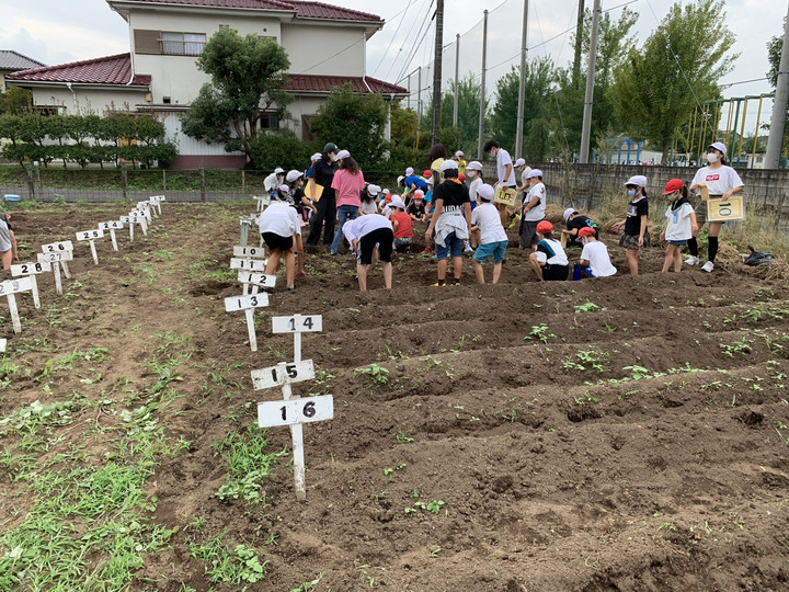 67b618a3161a45ddb1bd195b8ad58805