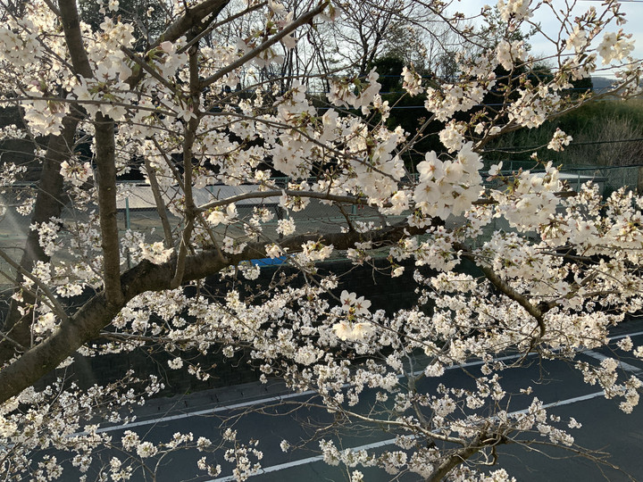 A97a6be331ae40b1836d7eecce49ca0c