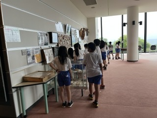 C090a72d16354346a5aeb4d49d6bf1d8