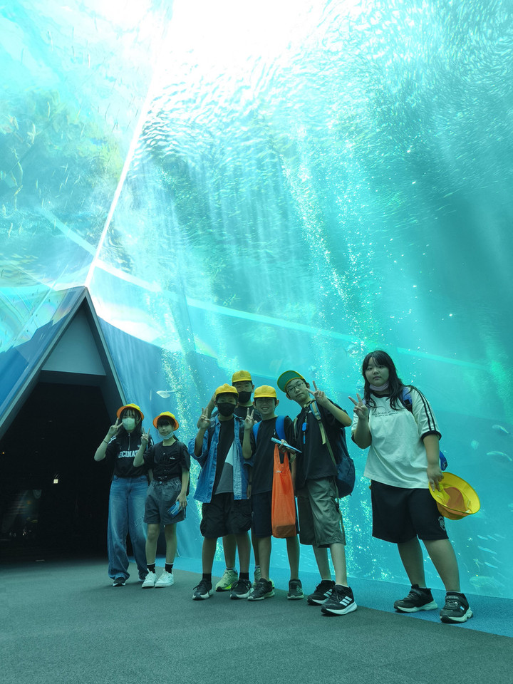 Img_20250605_111817_1