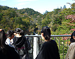 P1010317