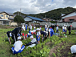 Img_0265