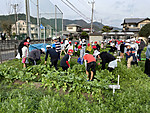 Img_0458