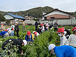 Img_0460
