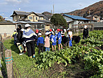 Img_0648