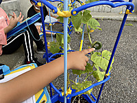 Img_1174