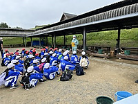 5158f066e11244b5839d703acb3ef25b