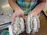 Img_1437_2