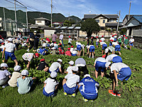 Img_1474