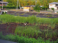 P1010001